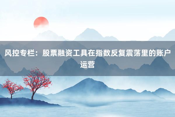 风控专栏：股票融资工具在指数反复震荡里的账户运营