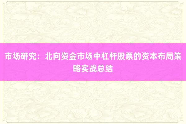 市场研究：北向资金市场中杠杆股票的资本布局策略实战总结