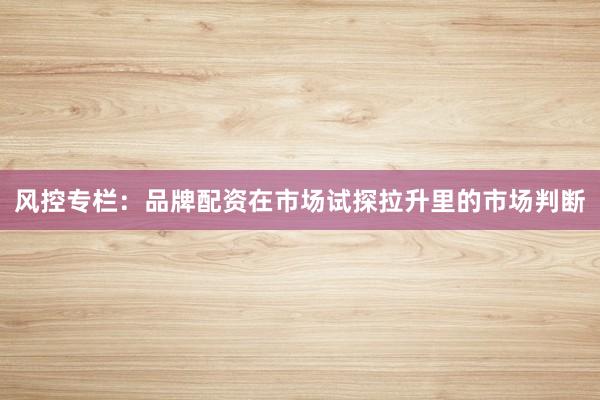 风控专栏：品牌配资在市场试探拉升里的市场判断