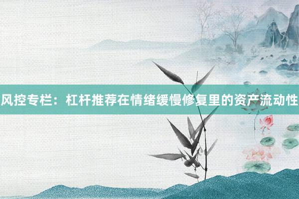 风控专栏：杠杆推荐在情绪缓慢修复里的资产流动性