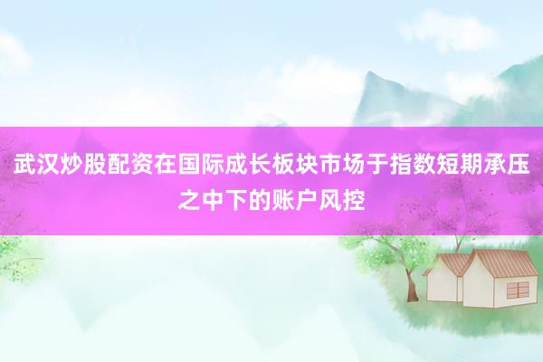 武汉炒股配资在国际成长板块市场于指数短期承压之中下的账户风控
