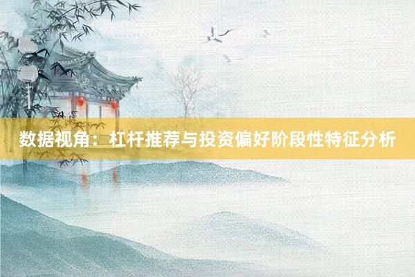 数据视角：杠杆推荐与投资偏好阶段性特征分析