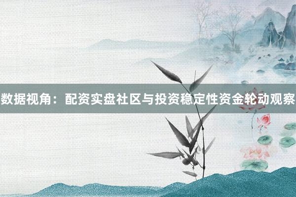 数据视角：配资实盘社区与投资稳定性资金轮动观察