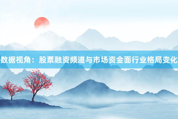 数据视角：股票融资频道与市场资金面行业格局变化