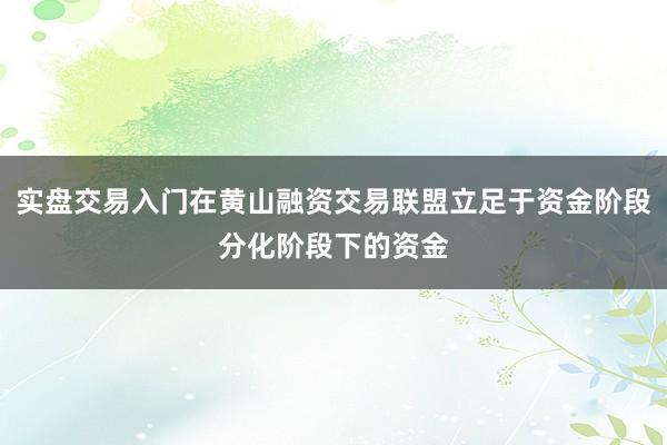 实盘交易入门在黄山融资交易联盟立足于资金阶段分化阶段下的资金