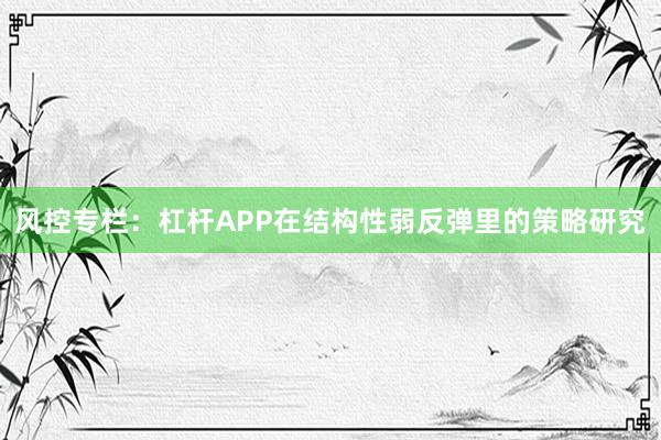 风控专栏：杠杆APP在结构性弱反弹里的策略研究