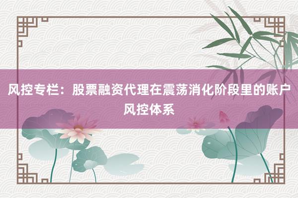 风控专栏：股票融资代理在震荡消化阶段里的账户风控体系