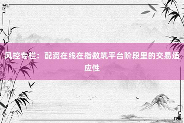 风控专栏：配资在线在指数筑平台阶段里的交易适应性