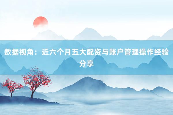 数据视角：近六个月五大配资与账户管理操作经验分享