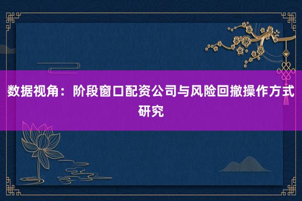 数据视角：阶段窗口配资公司与风险回撤操作方式研究