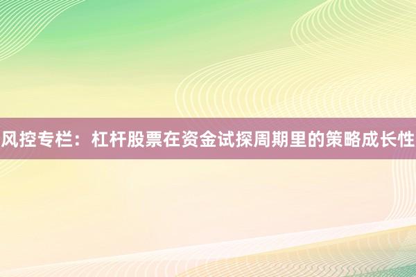 风控专栏：杠杆股票在资金试探周期里的策略成长性