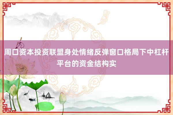 周口资本投资联盟身处情绪反弹窗口格局下中杠杆平台的资金结构实