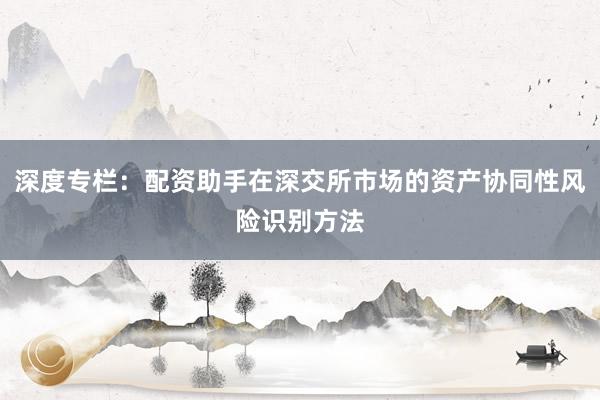 深度专栏：配资助手在深交所市场的资产协同性风险识别方法