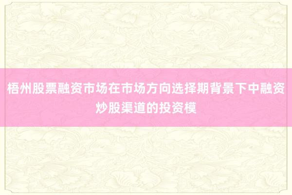 梧州股票融资市场在市场方向选择期背景下中融资炒股渠道的投资模