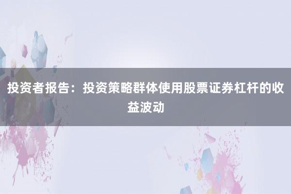 投资者报告：投资策略群体使用股票证券杠杆的收益波动