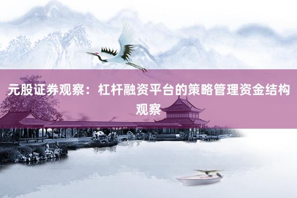 元股证券观察：杠杆融资平台的策略管理资金结构观察
