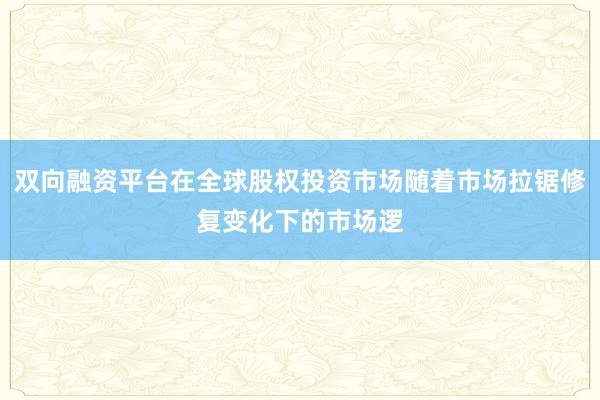 双向融资平台在全球股权投资市场随着市场拉锯修复变化下的市场逻