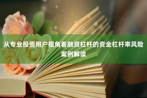 从专业投资用户视角看融资杠杆的资金杠杆率风险案例解读