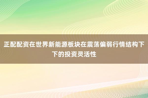 正配配资在世界新能源板块在震荡偏弱行情结构下下的投资灵活性