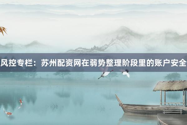 风控专栏：苏州配资网在弱势整理阶段里的账户安全