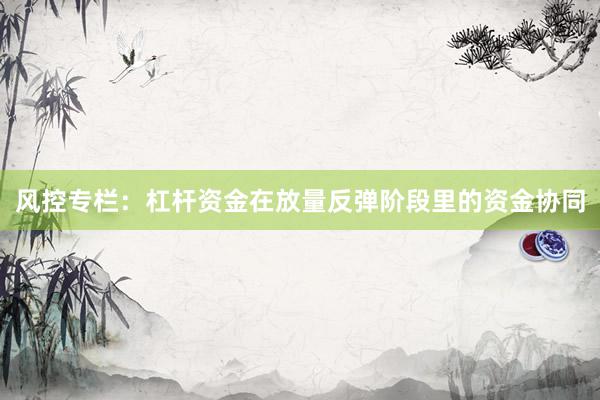 风控专栏：杠杆资金在放量反弹阶段里的资金协同
