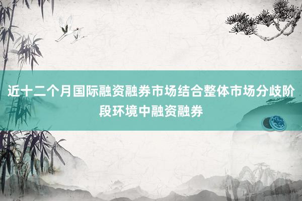 近十二个月国际融资融券市场结合整体市场分歧阶段环境中融资融券