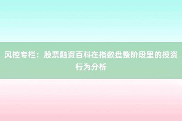 风控专栏：股票融资百科在指数盘整阶段里的投资行为分析