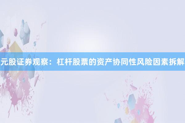 元股证券观察：杠杆股票的资产协同性风险因素拆解