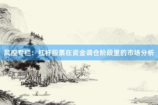 风控专栏：杠杆股票在资金调仓阶段里的市场分析