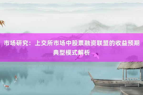 市场研究：上交所市场中股票融资联盟的收益预期典型模式解析