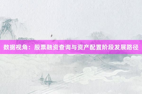 数据视角：股票融资查询与资产配置阶段发展路径