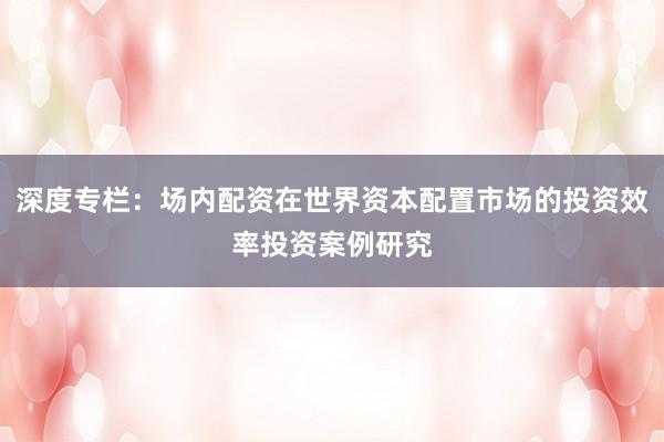 深度专栏：场内配资在世界资本配置市场的投资效率投资案例研究
