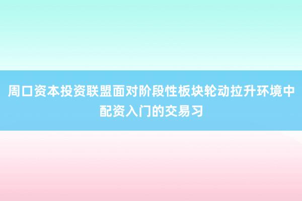 周口资本投资联盟面对阶段性板块轮动拉升环境中配资入门的交易习