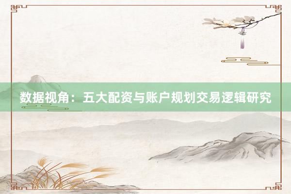 数据视角：五大配资与账户规划交易逻辑研究