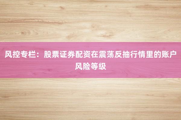 风控专栏：股票证券配资在震荡反抽行情里的账户风险等级