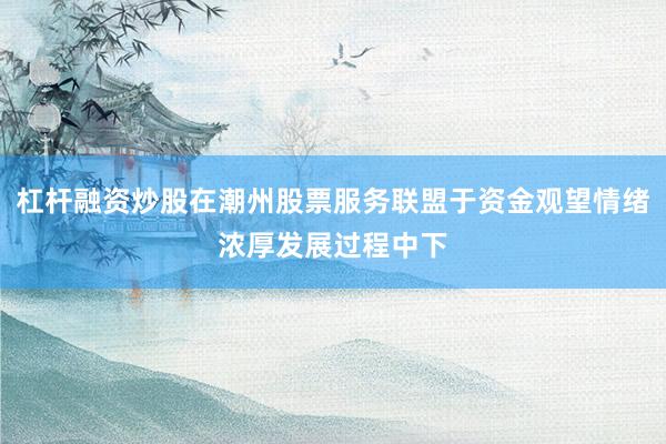 杠杆融资炒股在潮州股票服务联盟于资金观望情绪浓厚发展过程中下