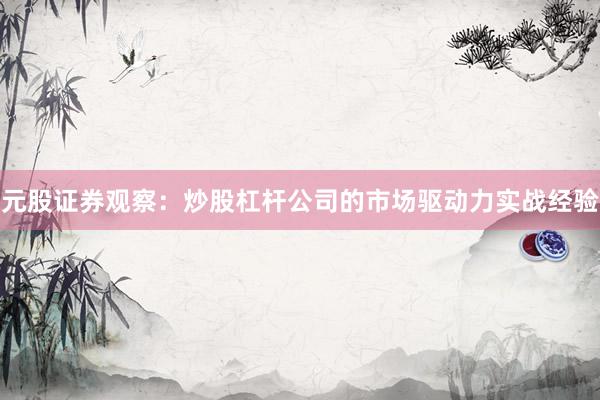 元股证券观察：炒股杠杆公司的市场驱动力实战经验
