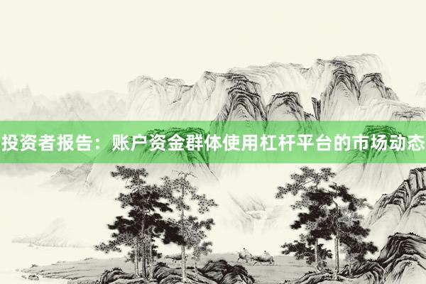 投资者报告：账户资金群体使用杠杆平台的市场动态