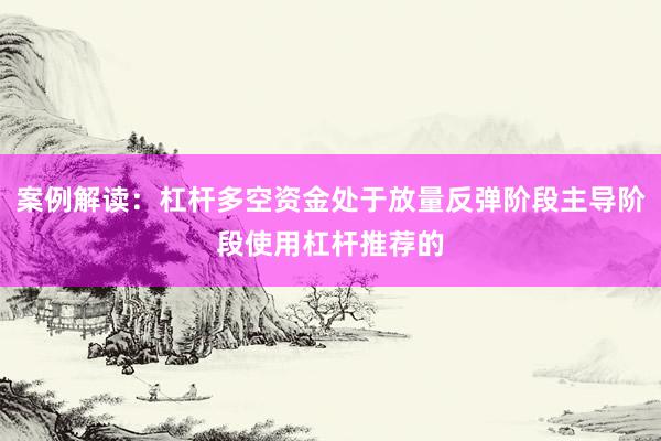 案例解读：杠杆多空资金处于放量反弹阶段主导阶段使用杠杆推荐的