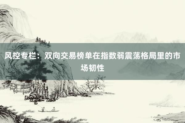 风控专栏：双向交易榜单在指数弱震荡格局里的市场韧性