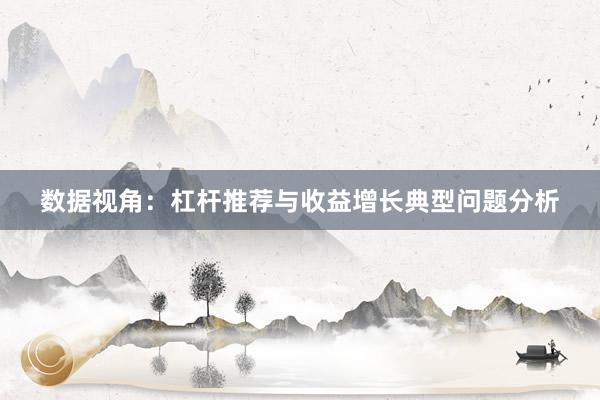 数据视角：杠杆推荐与收益增长典型问题分析