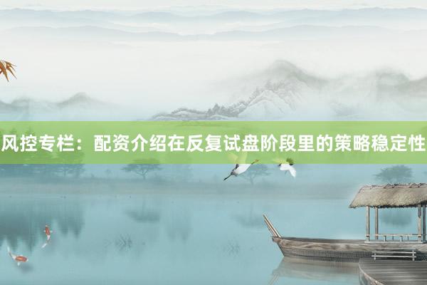 风控专栏：配资介绍在反复试盘阶段里的策略稳定性