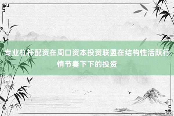 专业杠杆配资在周口资本投资联盟在结构性活跃行情节奏下下的投资