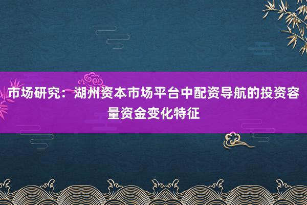 市场研究：湖州资本市场平台中配资导航的投资容量资金变化特征