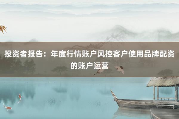 投资者报告：年度行情账户风控客户使用品牌配资的账户运营