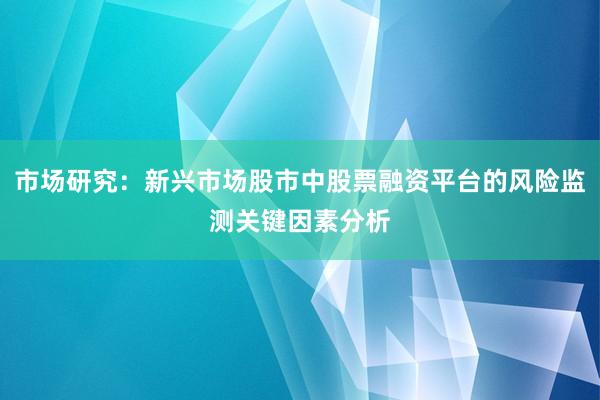 市场研究：新兴市场股市中股票融资平台的风险监测关键因素分析
