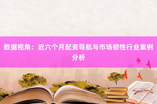 数据视角：近六个月配资导航与市场韧性行业案例分析