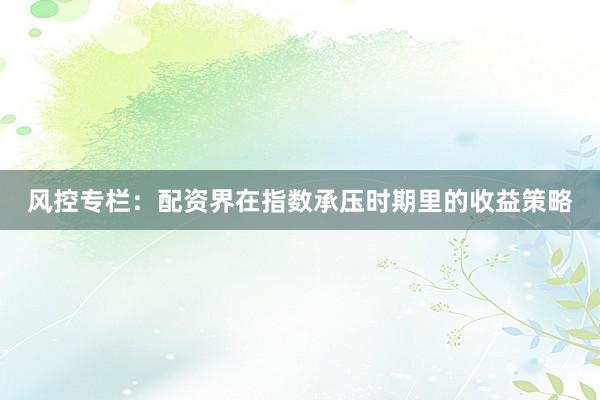 风控专栏:配资界在指数承压时期里的收益策略