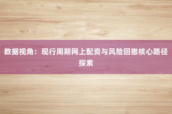 数据视角：现行周期网上配资与风险回撤核心路径探索