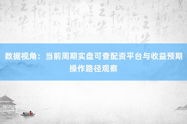 数据视角：当前周期实盘可查配资平台与收益预期操作路径观察